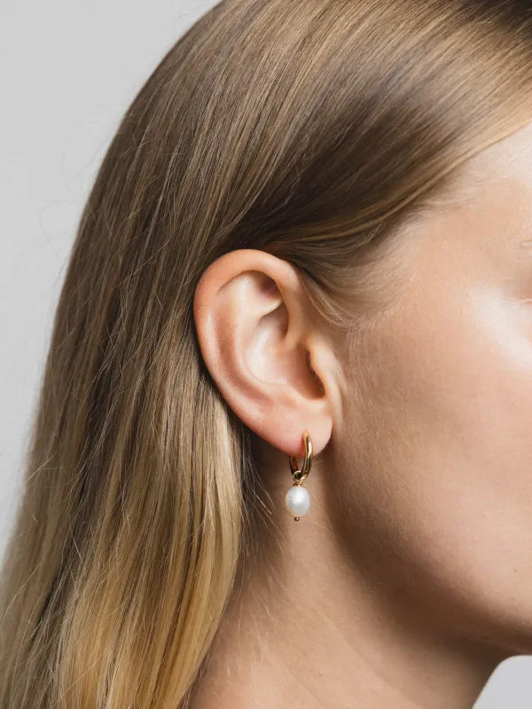 Pearl Hoops in Gold (Sample) sold by Wolf Circus