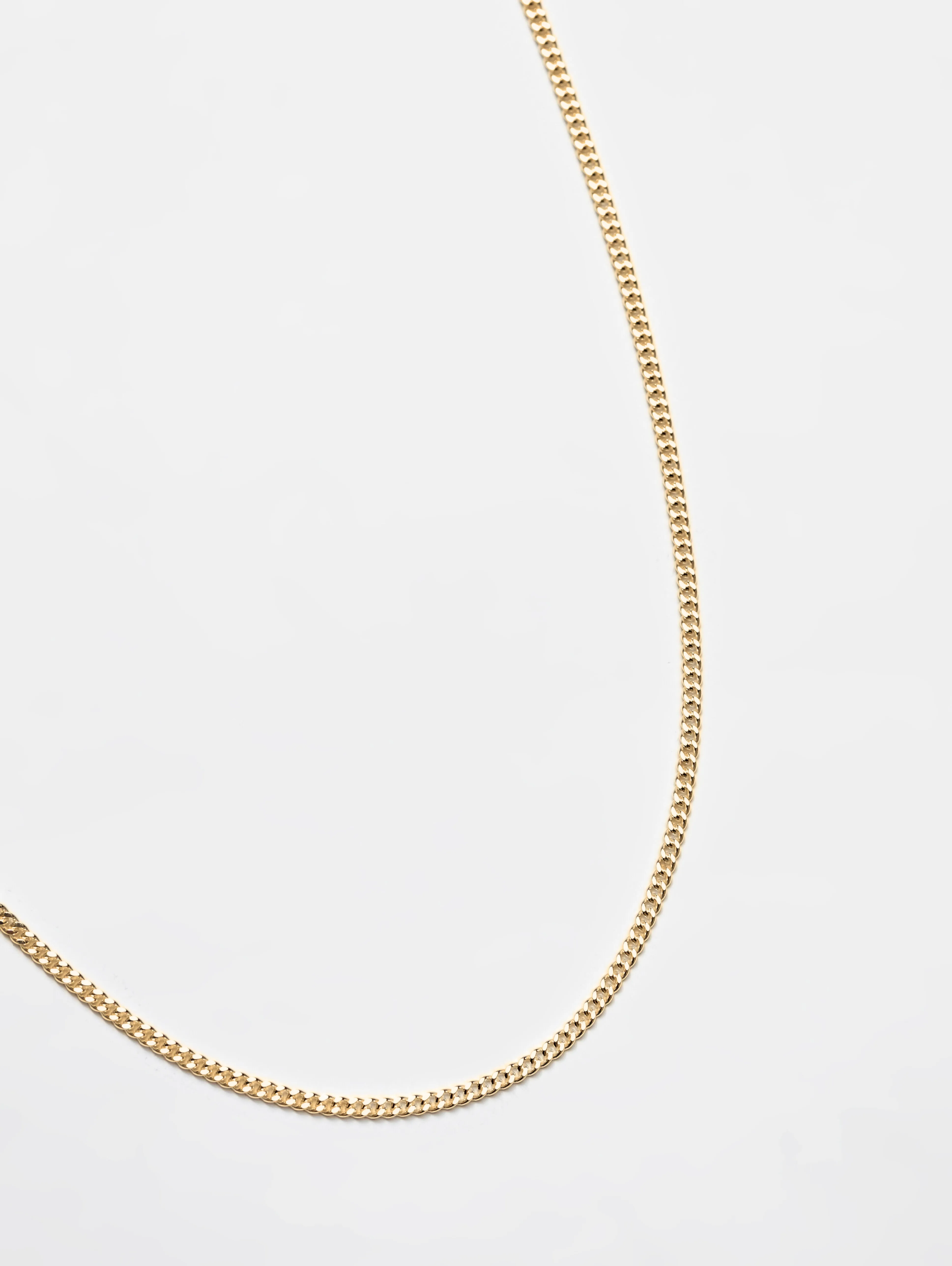 Curb Chain in Gold sold by Wolf Circus