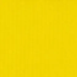 Salvador sold by Maria La Rosa product image thumbnail 4