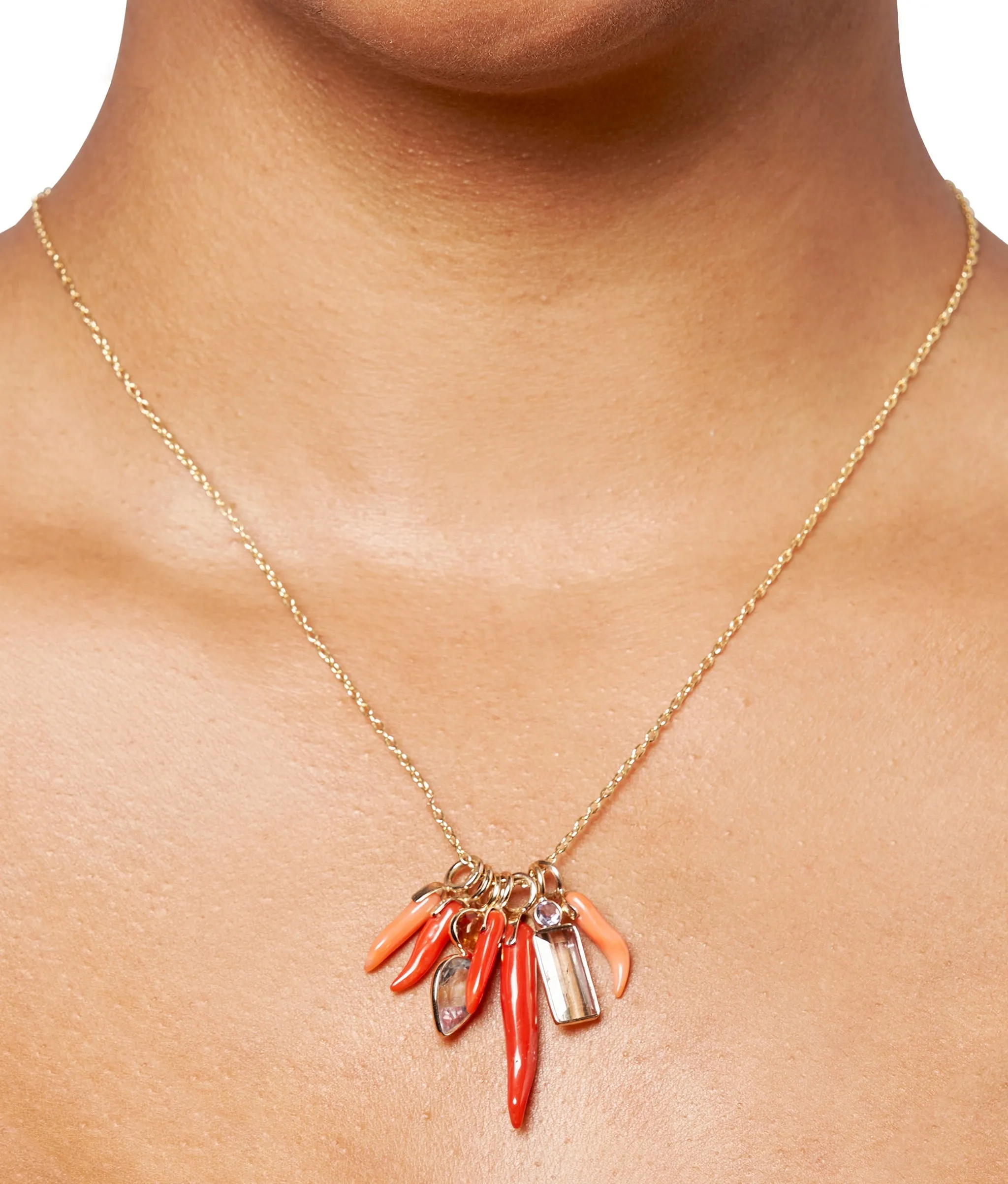 Dark Red Coral Horn 14k Gold Necklace Charm sold by Lizzie Fortunato product image thumbnail 2