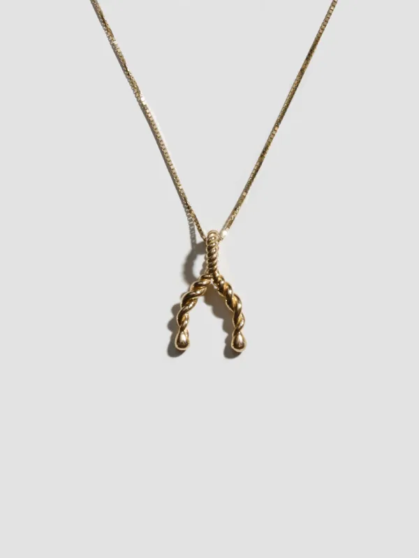 Spiral Wishbone Pendant made by Loren Stewart