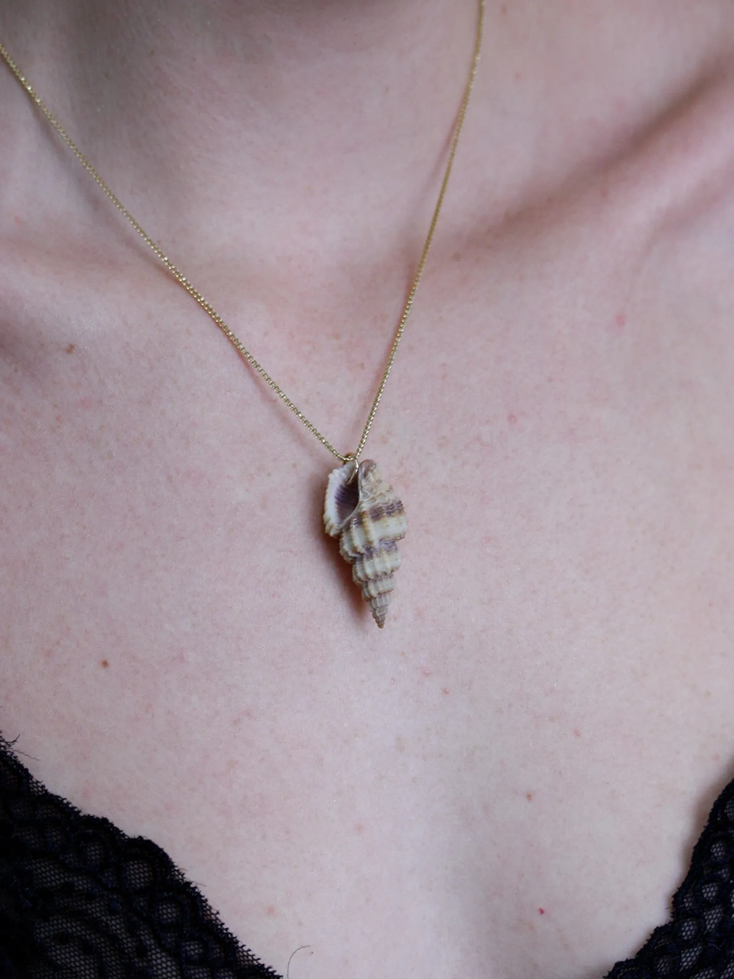 Stripe Conch Shell Pendant - Archival Collection sold by Loren Stewart product image thumbnail 2