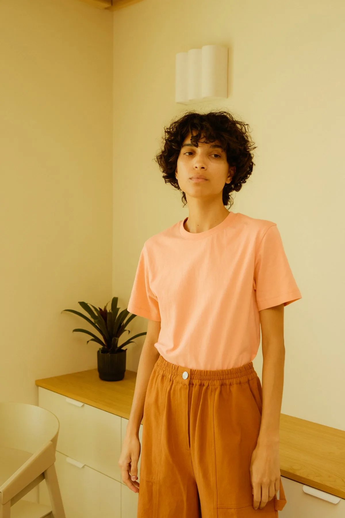 BASIC TEE CLAY sold by LF Markey product image thumbnail 5
