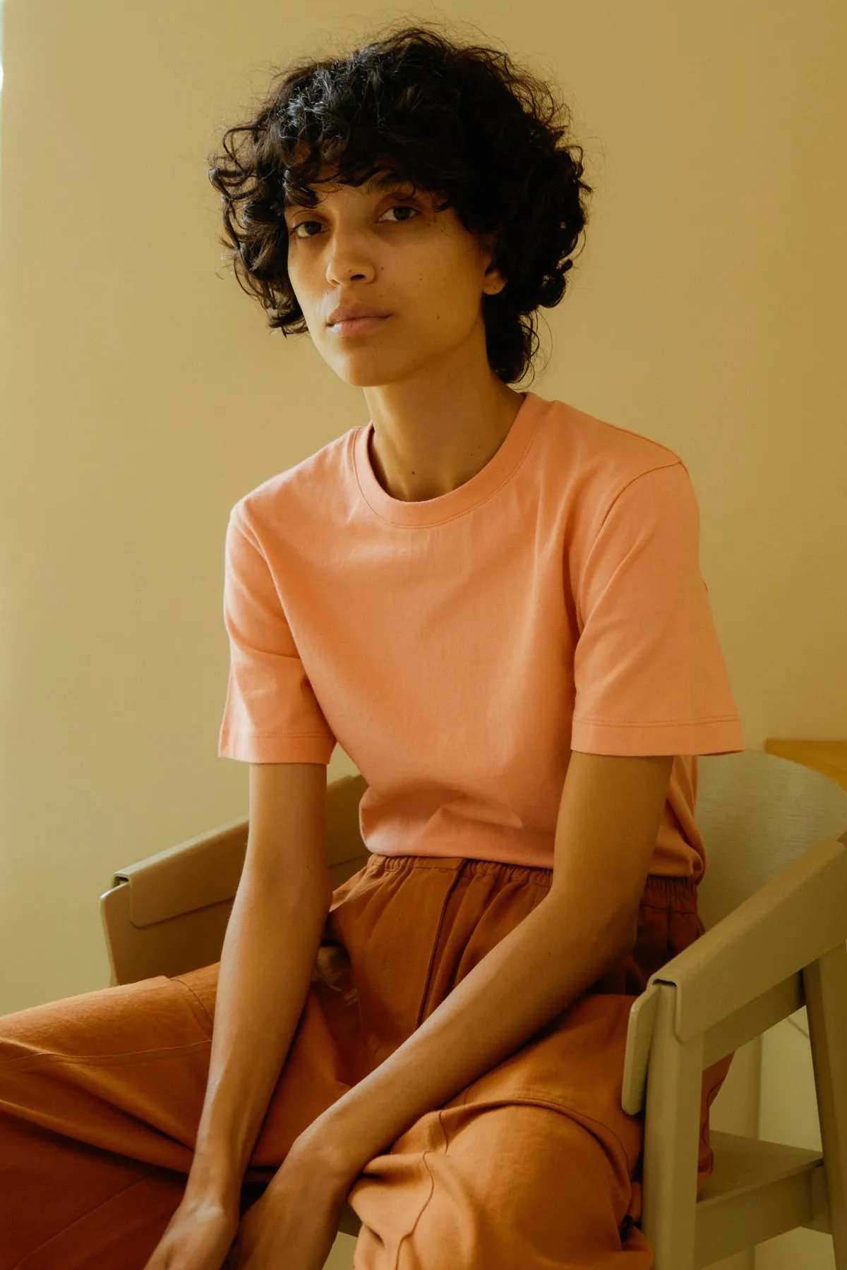 BASIC TEE CLAY sold by LF Markey product image thumbnail 3