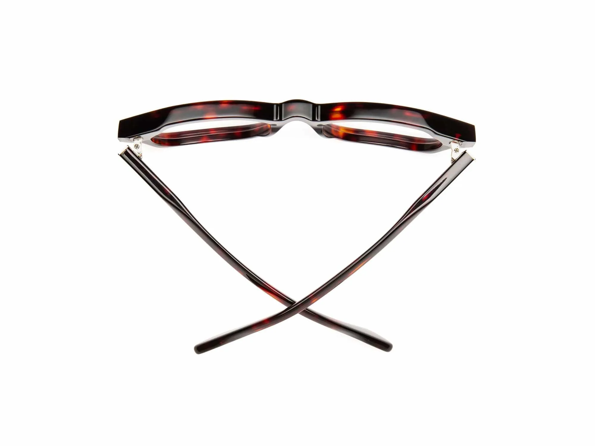 Muzzy | Custom Sun Progressives sold by Caddis product image thumbnail 4