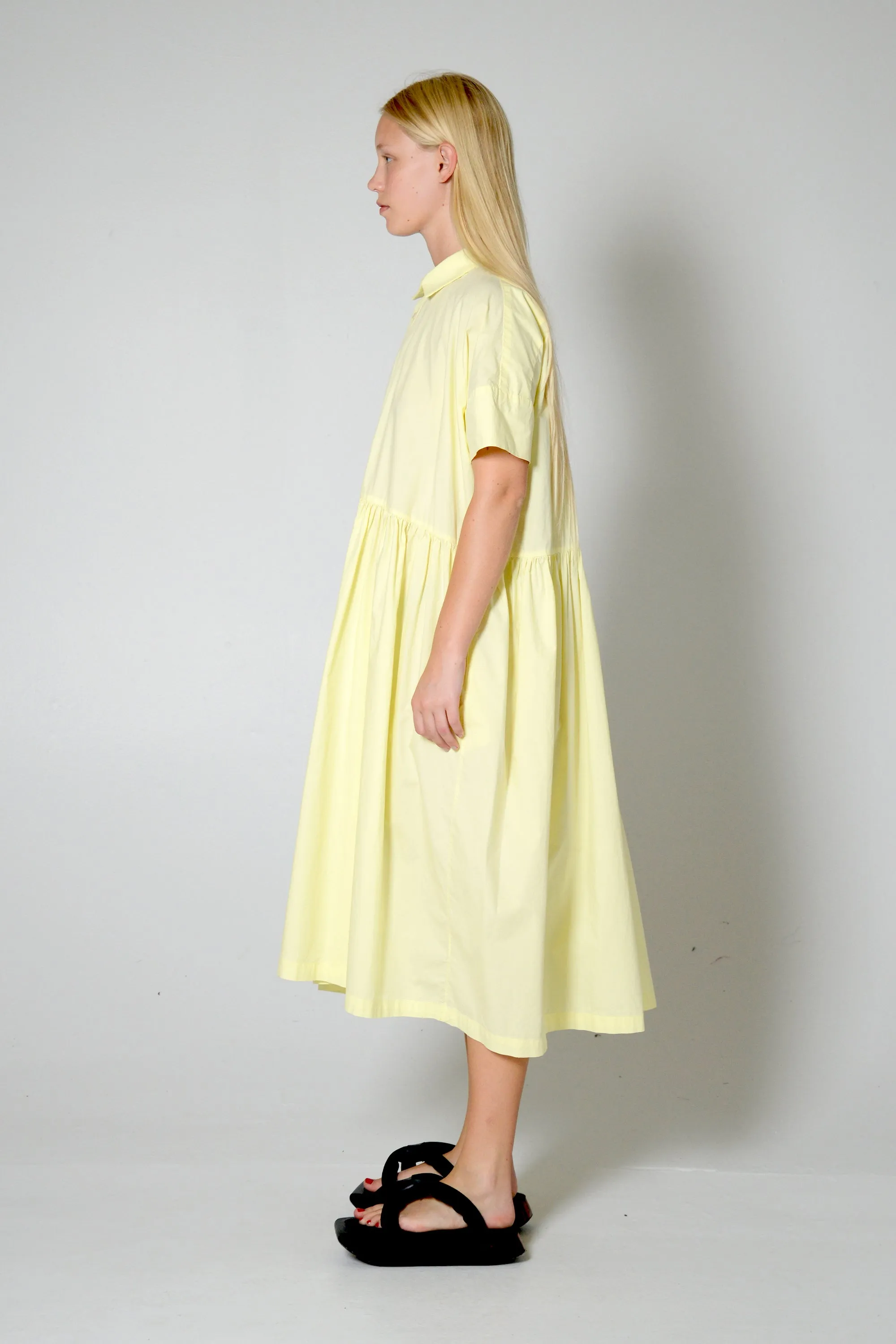 Nannan Dress sold by Fabiana Pigna product image thumbnail 3