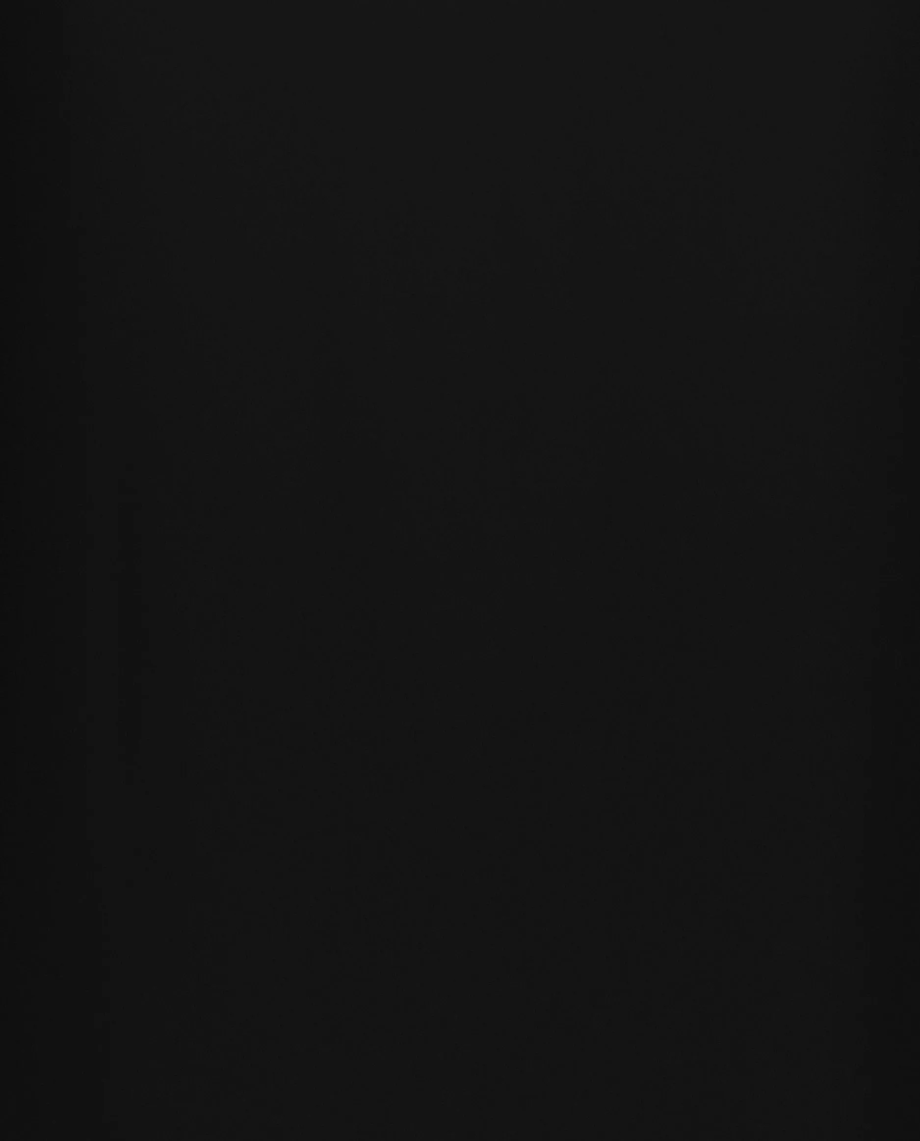 Rundhalsausschnitt Top aus Seide in Schwarz sold by Allude product image thumbnail 4