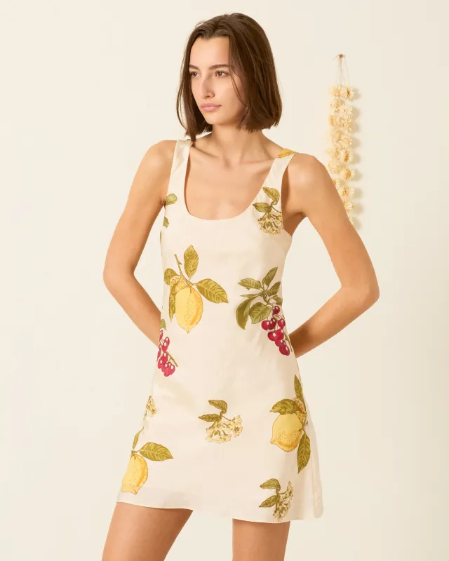 Addie Four Fruit Silk Dress made by Alix of Bohemia