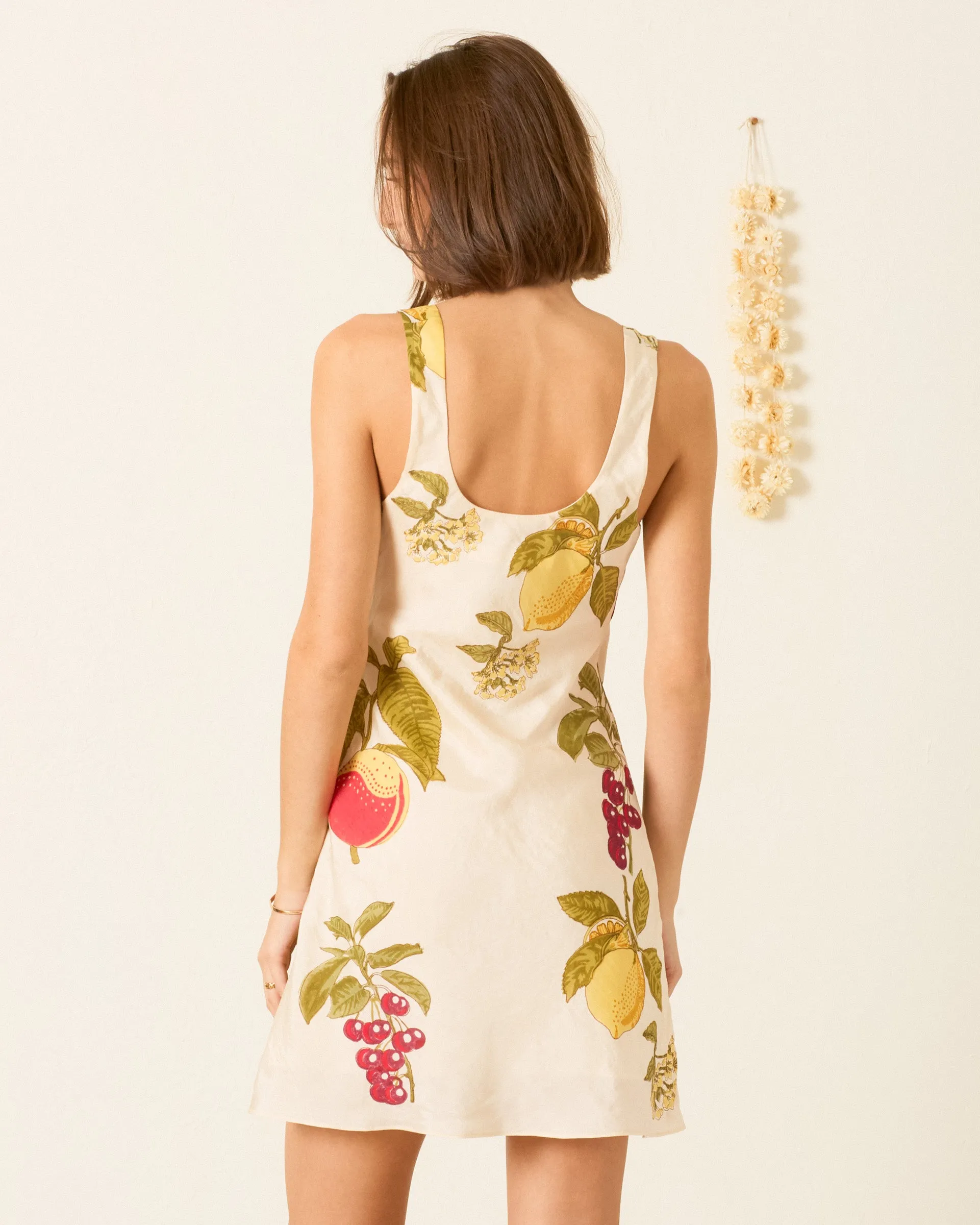 Addie Four Fruit Silk Dress sold by Alix of Bohemia product image thumbnail 3