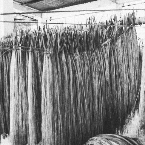 Sabina in Natural sold by Wyeth product image thumbnail 5