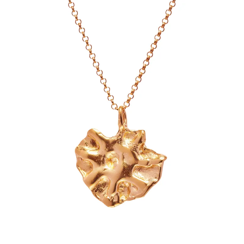 Astro Necklace made by Simuero