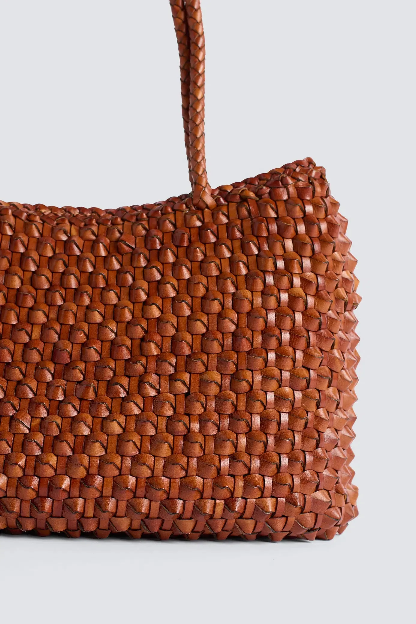 S.Croce Cactus Tan sold by Dragon Diffusion product image thumbnail 3