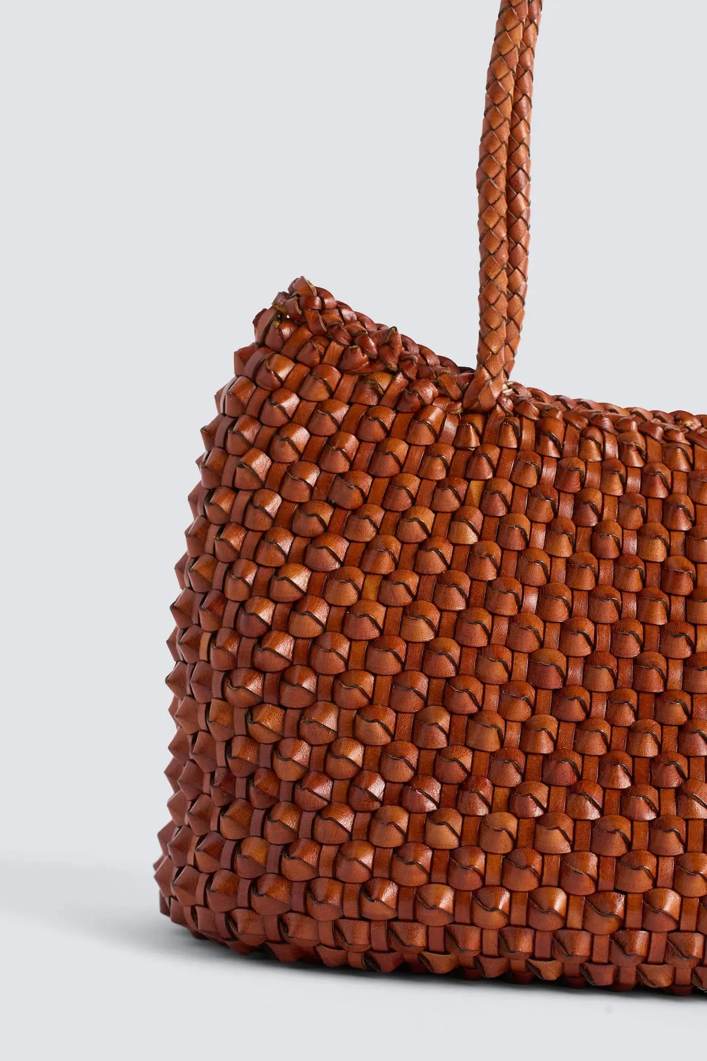 S.Croce Cactus Tan sold by Dragon Diffusion product image thumbnail 4