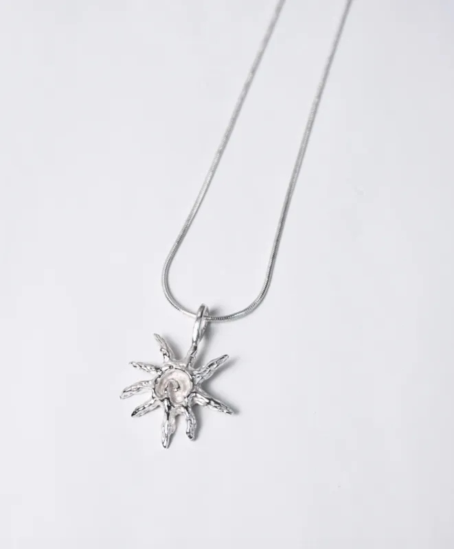 Chnita - Concha Chiquita made by NOMIA