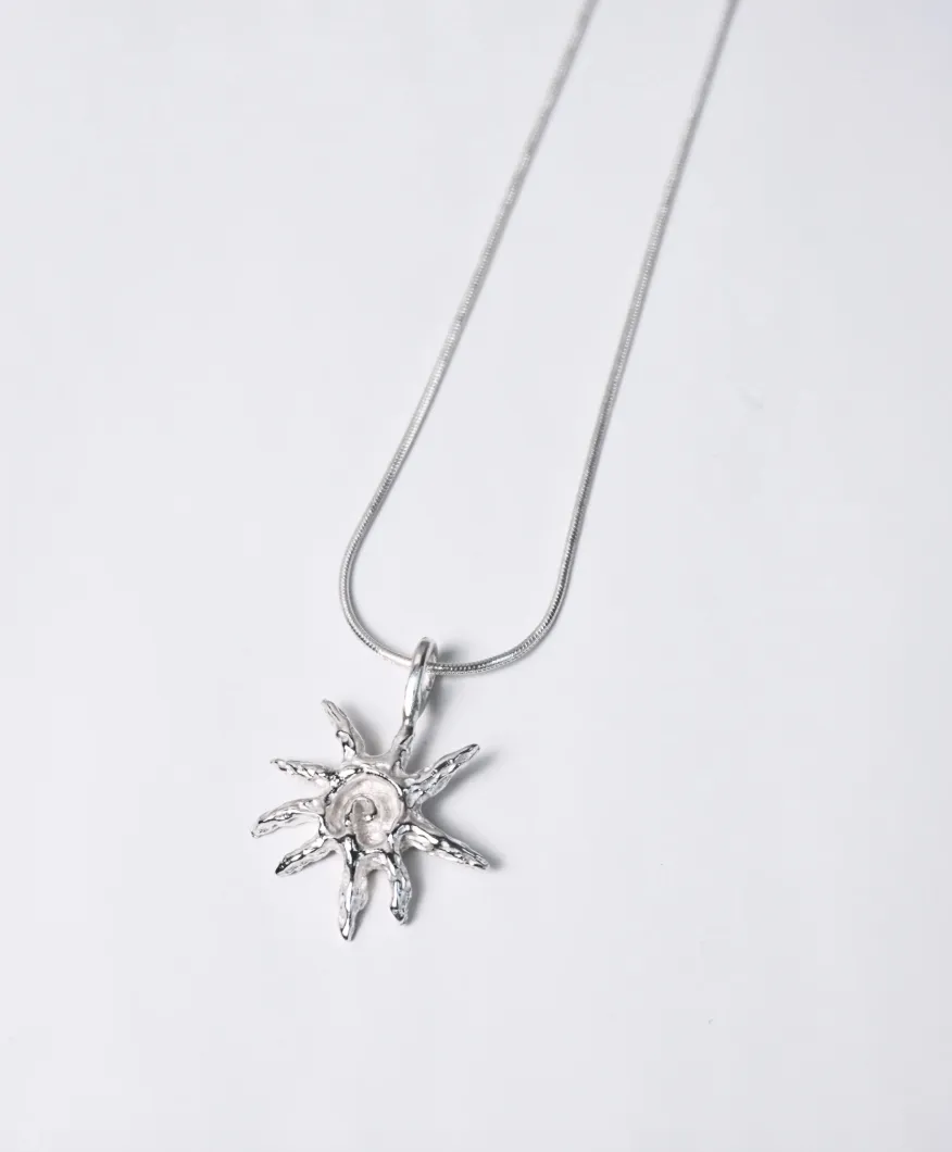 Chnita - Concha Chiquita sold by NOMIA