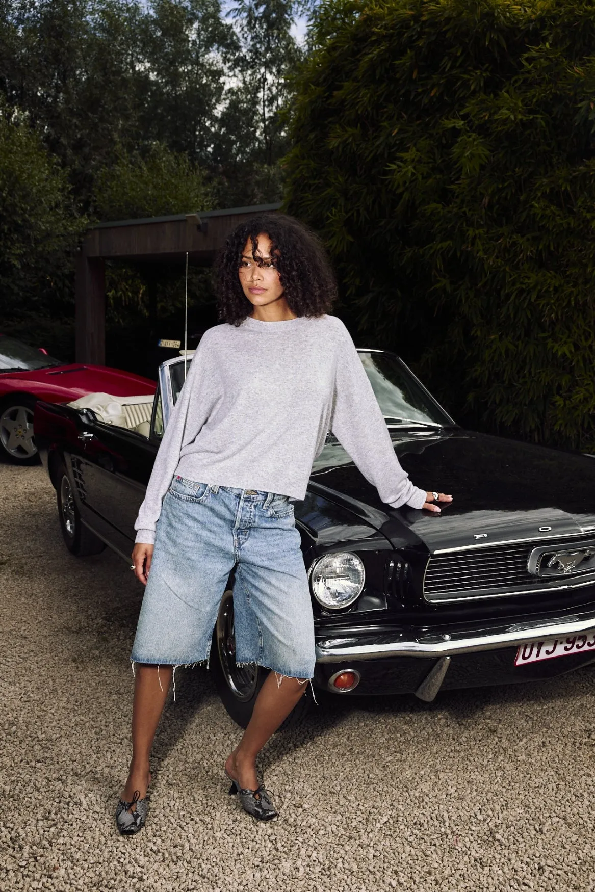 BORA BORA PALM CREW | STONE PALM sold by Colorush product image thumbnail 3