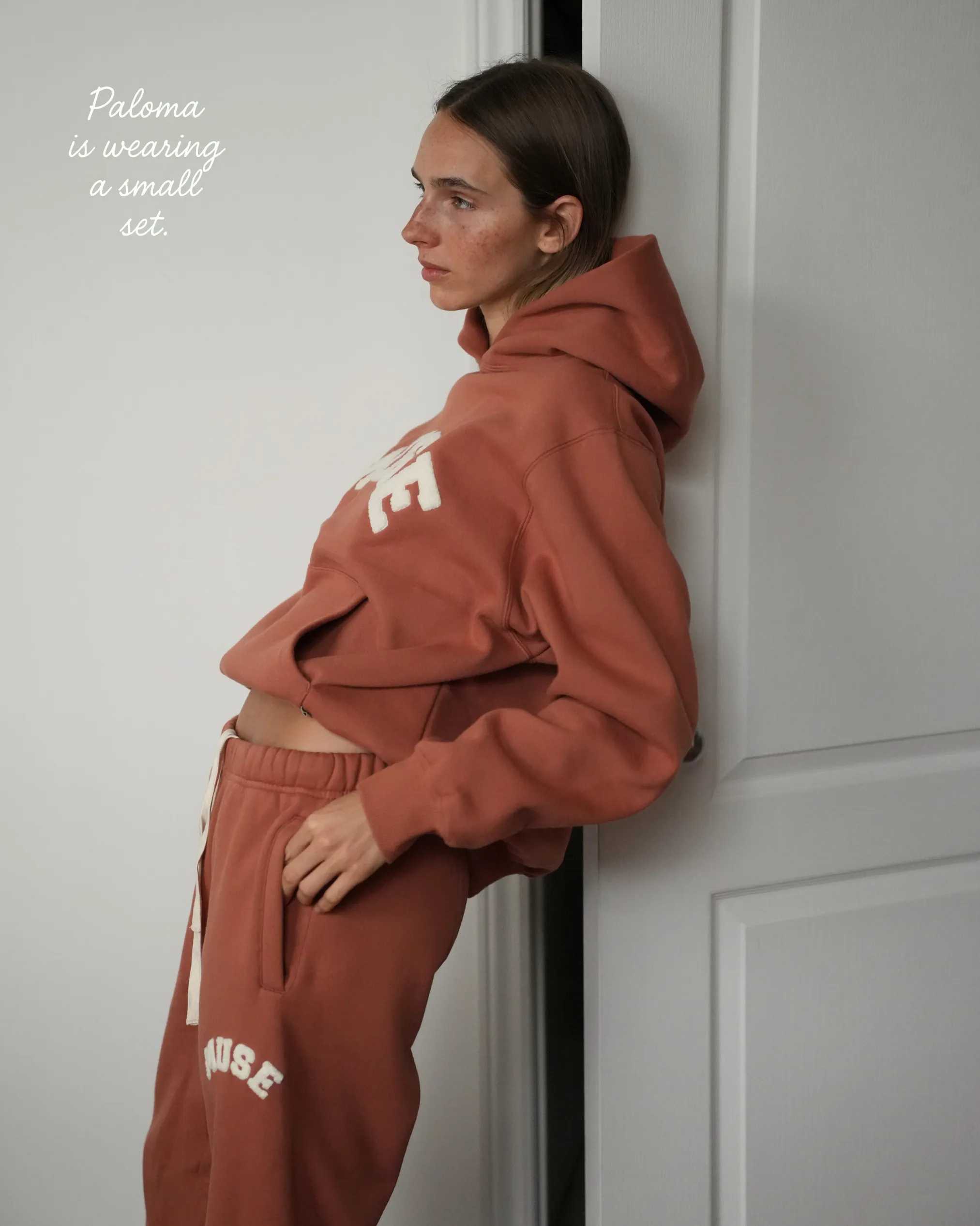 Heavyweight Chenille Hoodie - Terracotta sold by Curated by Muse product image thumbnail 3