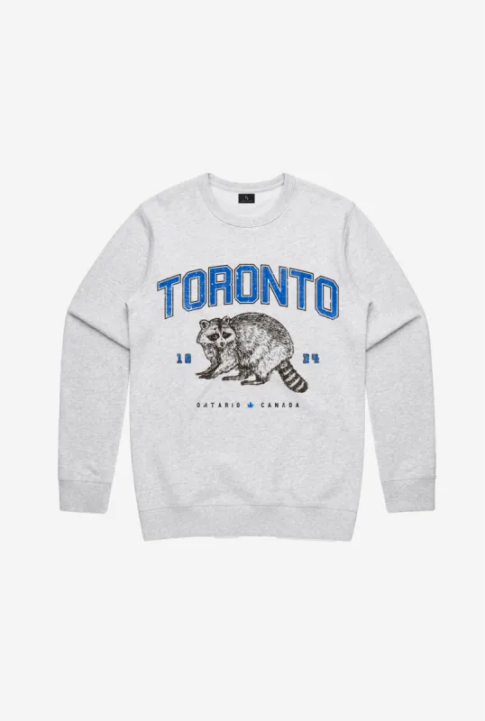 Toronto Raccoon Vintage Crewneck - Grey sold by Peace-Collective