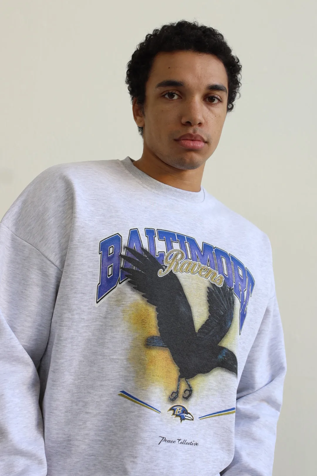 Baltimore Ravens Mascot SuperHeavy™️ Crewneck - Ash sold by Peace-Collective product image thumbnail 3