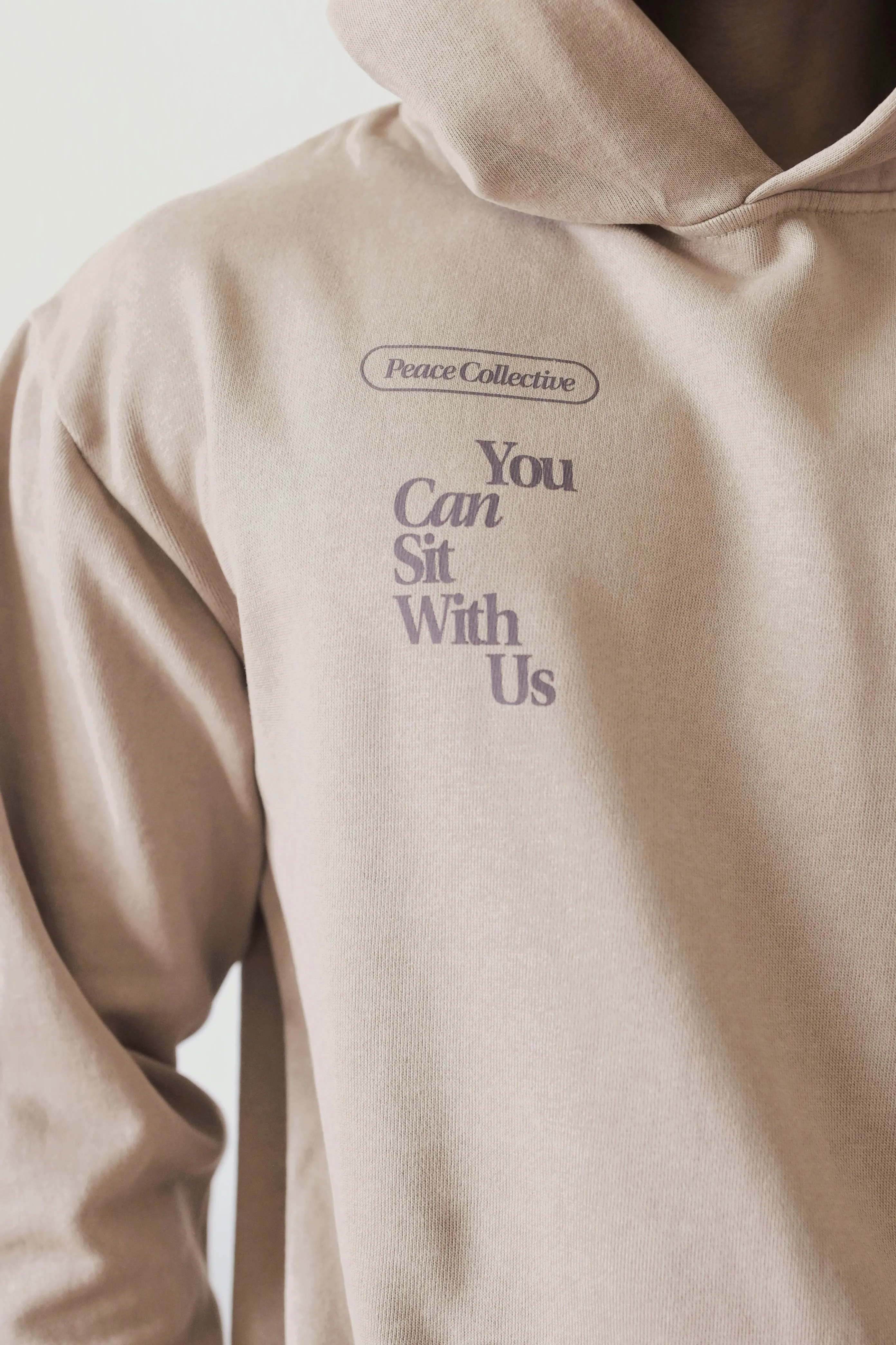 You Can Sit With Us Heavyweight Hoodie - Burro sold by Peace-Collective product image thumbnail 5