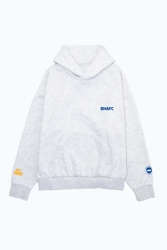 Brighton & Hove Albion F.C. SuperHeavy™️ Hoodie - Ash sold by Peace-Collective