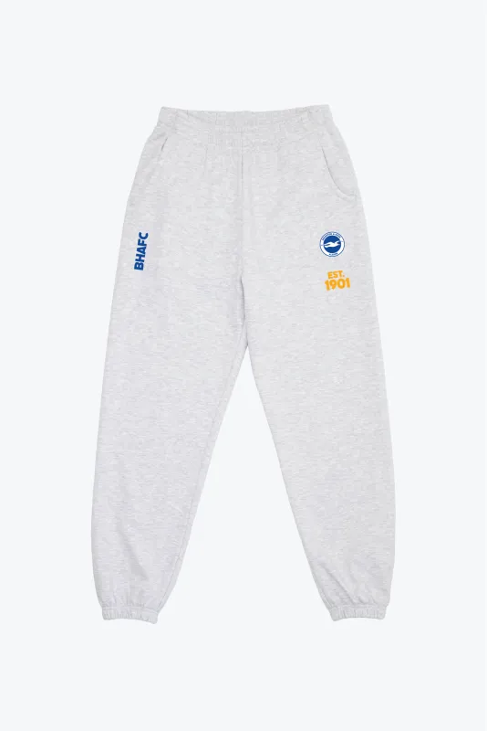 Brighton & Hove Albion F.C. SuperHeavy™️ Jogger - Ash sold by Peace-Collective