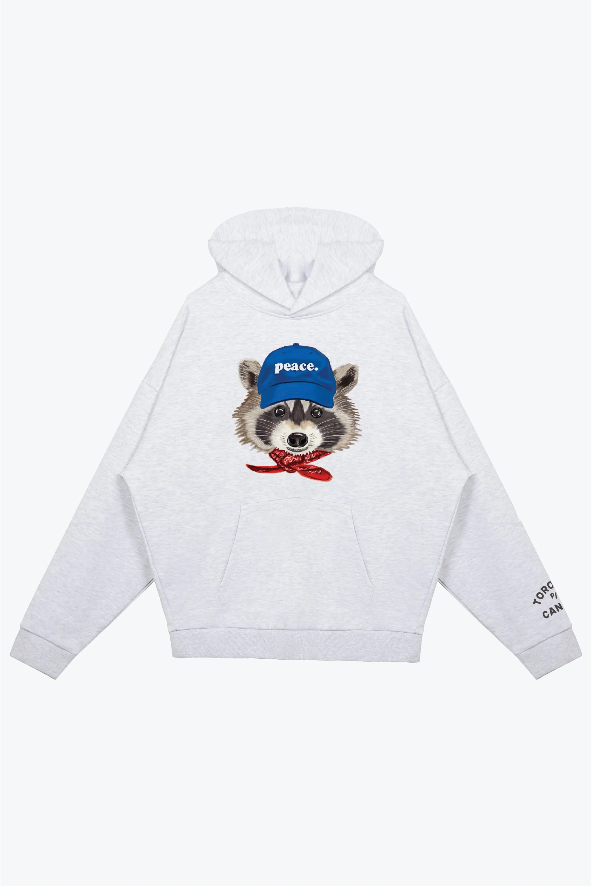 Toronto Trash Teddy Heavyweight Hoodie - Ash sold by Peace-Collective