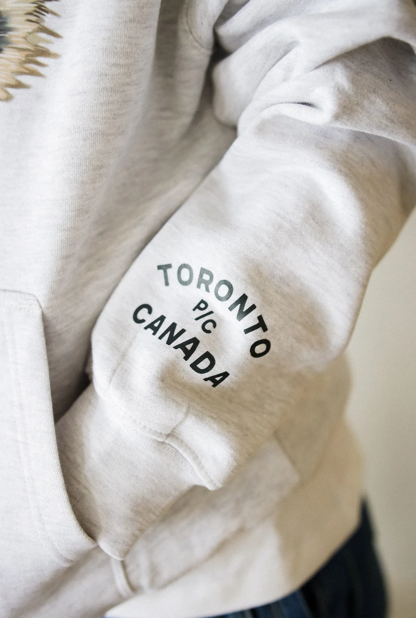 Toronto Trash Teddy Heavyweight Hoodie - Ash sold by Peace-Collective product image thumbnail 4