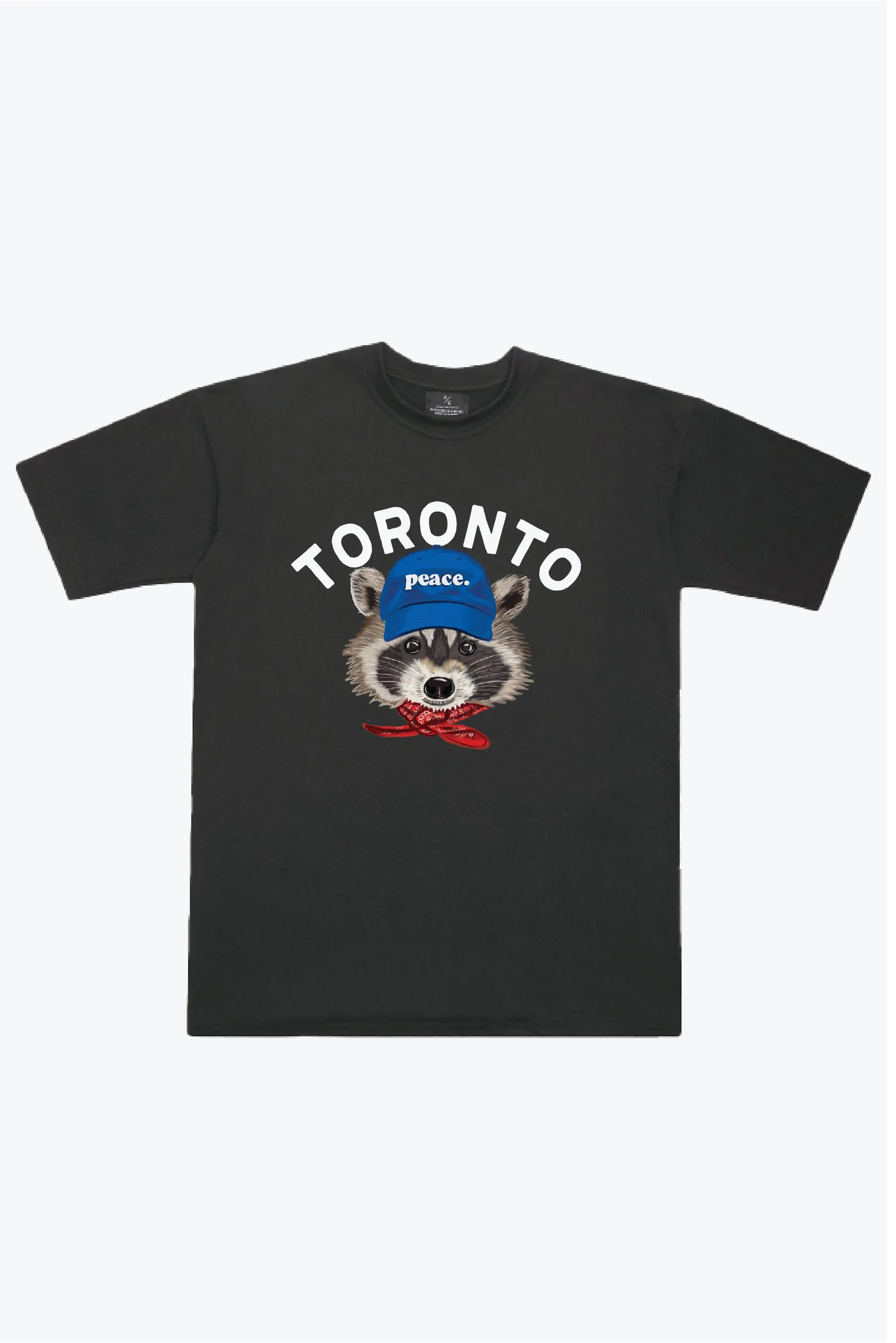 Toronto Trash Teddy Heavyweight T-Shirt - Black sold by Peace-Collective