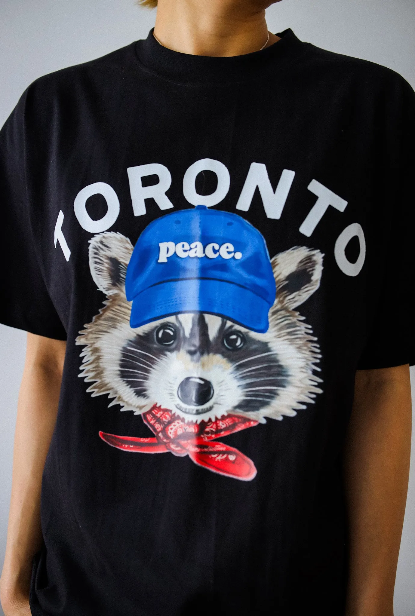 Toronto Trash Teddy Heavyweight T-Shirt - Black sold by Peace-Collective product image thumbnail 2