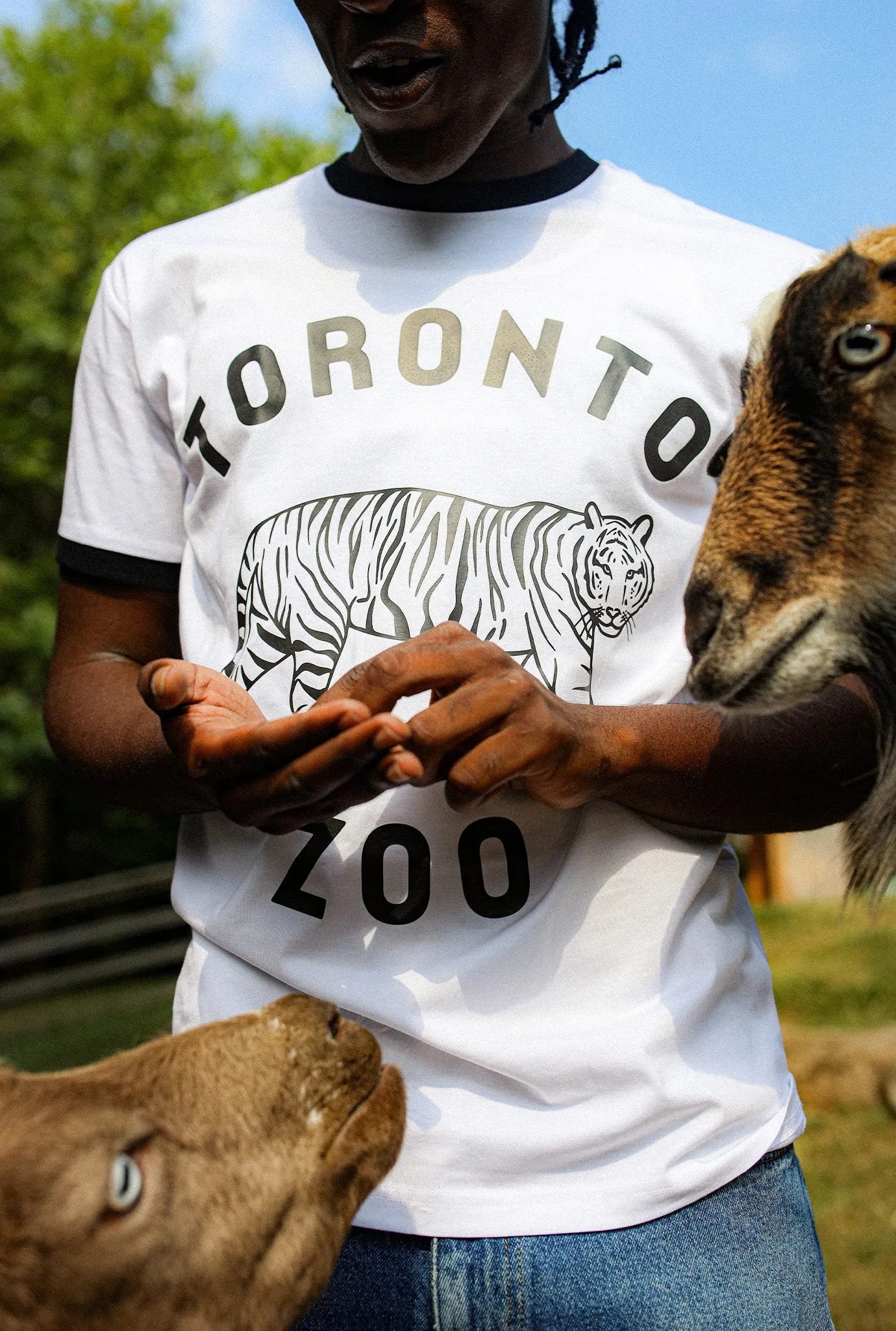 Toronto Zoo Ringer T-Shirt - Black / White sold by Peace-Collective product image thumbnail 3