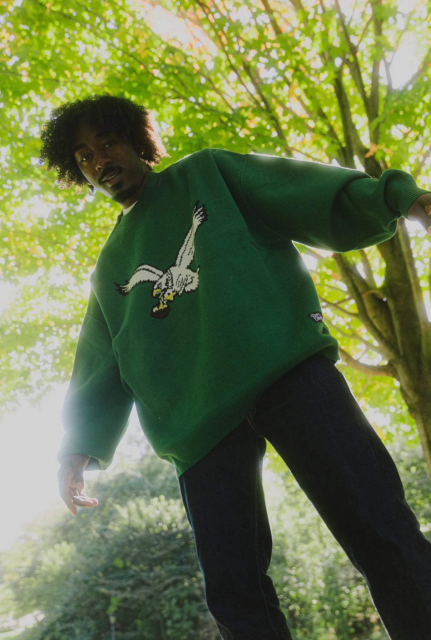 Philadelphia Eagles Retro Knit Sweater - Kelly Green sold by Peace-Collective
