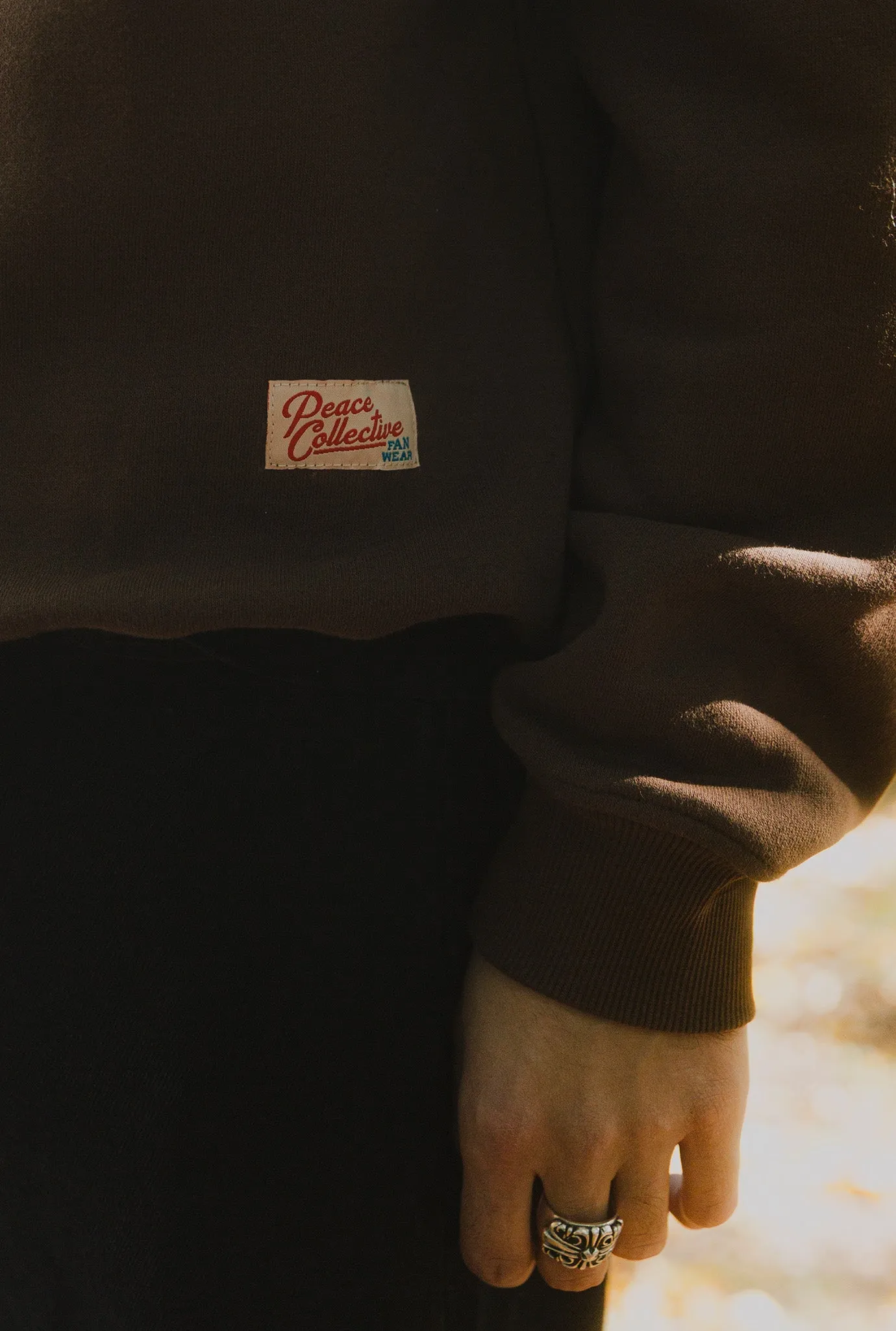 Detroit Lions Heavyweight Crewneck - Cocoa sold by Peace-Collective product image thumbnail 3