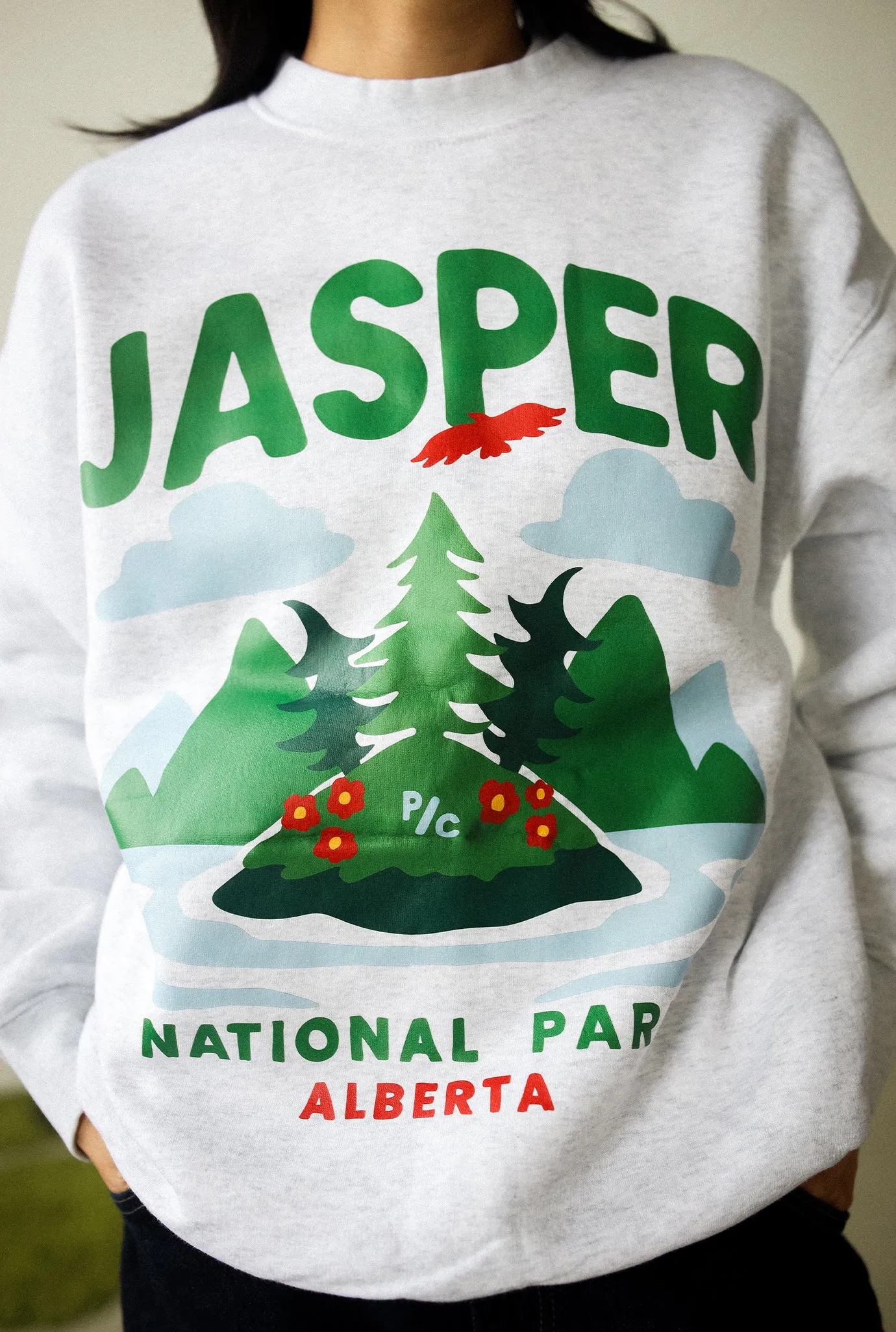 Jasper National Park Crewneck - Ash sold by Peace-Collective product image thumbnail 3