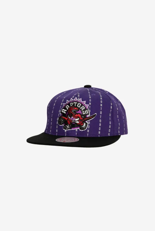 Toronto Raptors City Pinstripe Deadstock Snapback - Purple sold by Peace-Collective