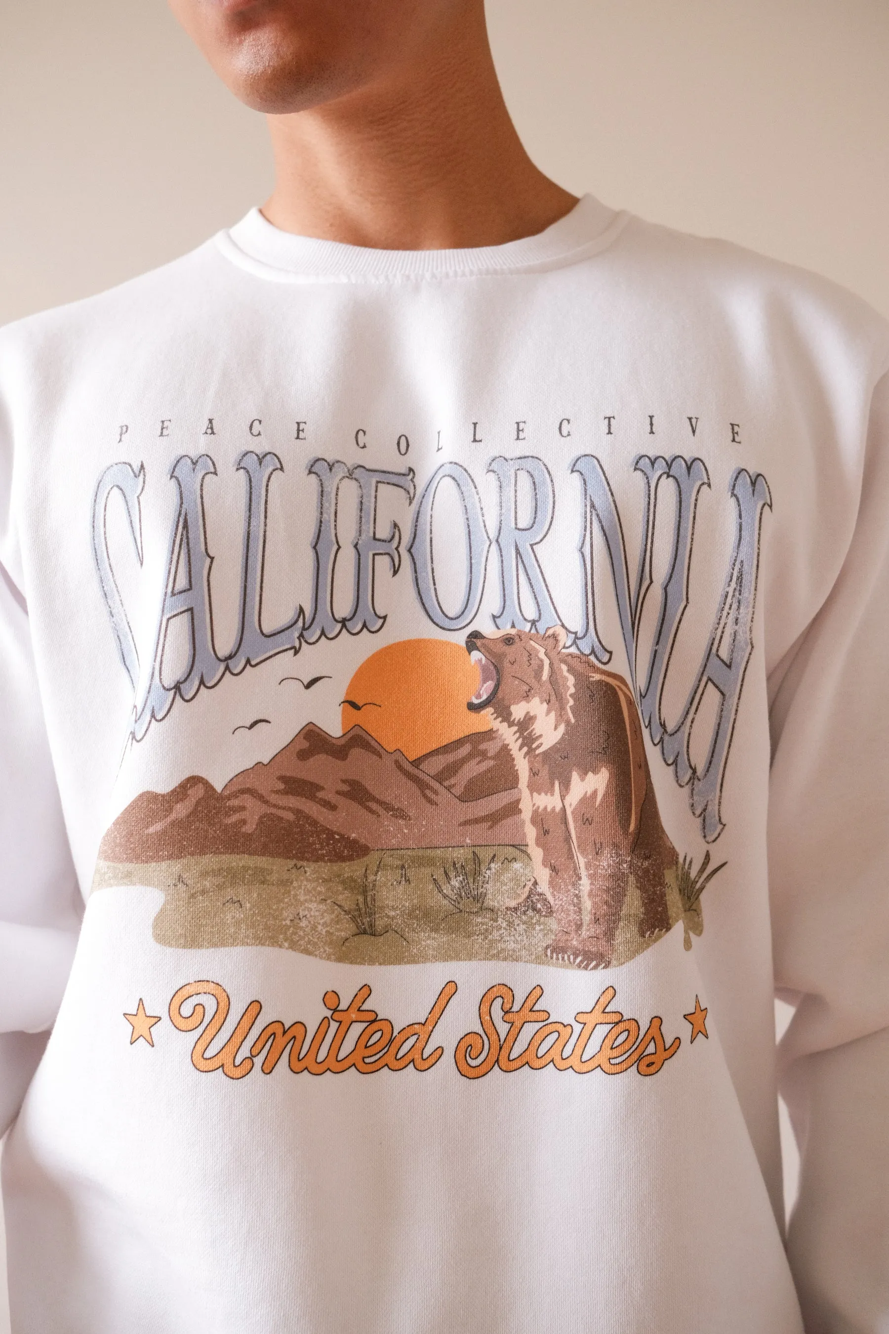 California Grizzly Vintage Crewneck - White sold by Peace-Collective product image thumbnail 4