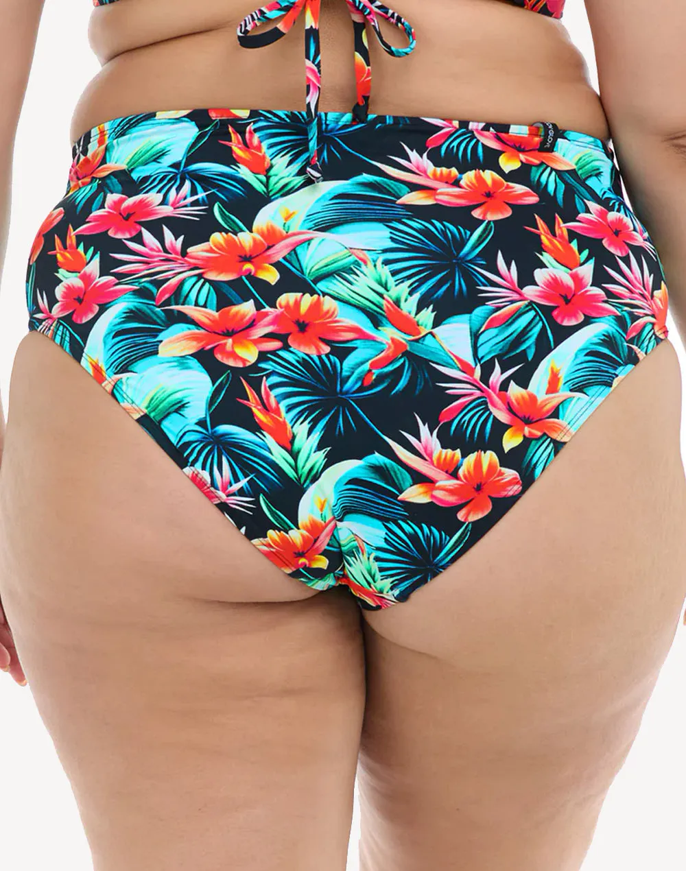 Colola High Tide Plus Size Bikini Bottom sold by swimco product image thumbnail 2