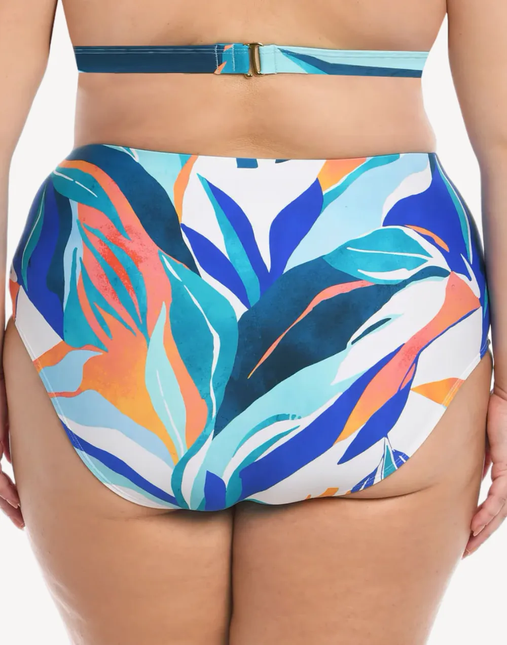 Coastal Palms High Waist Plus Size Bikini Bottom sold by swimco product image thumbnail 2