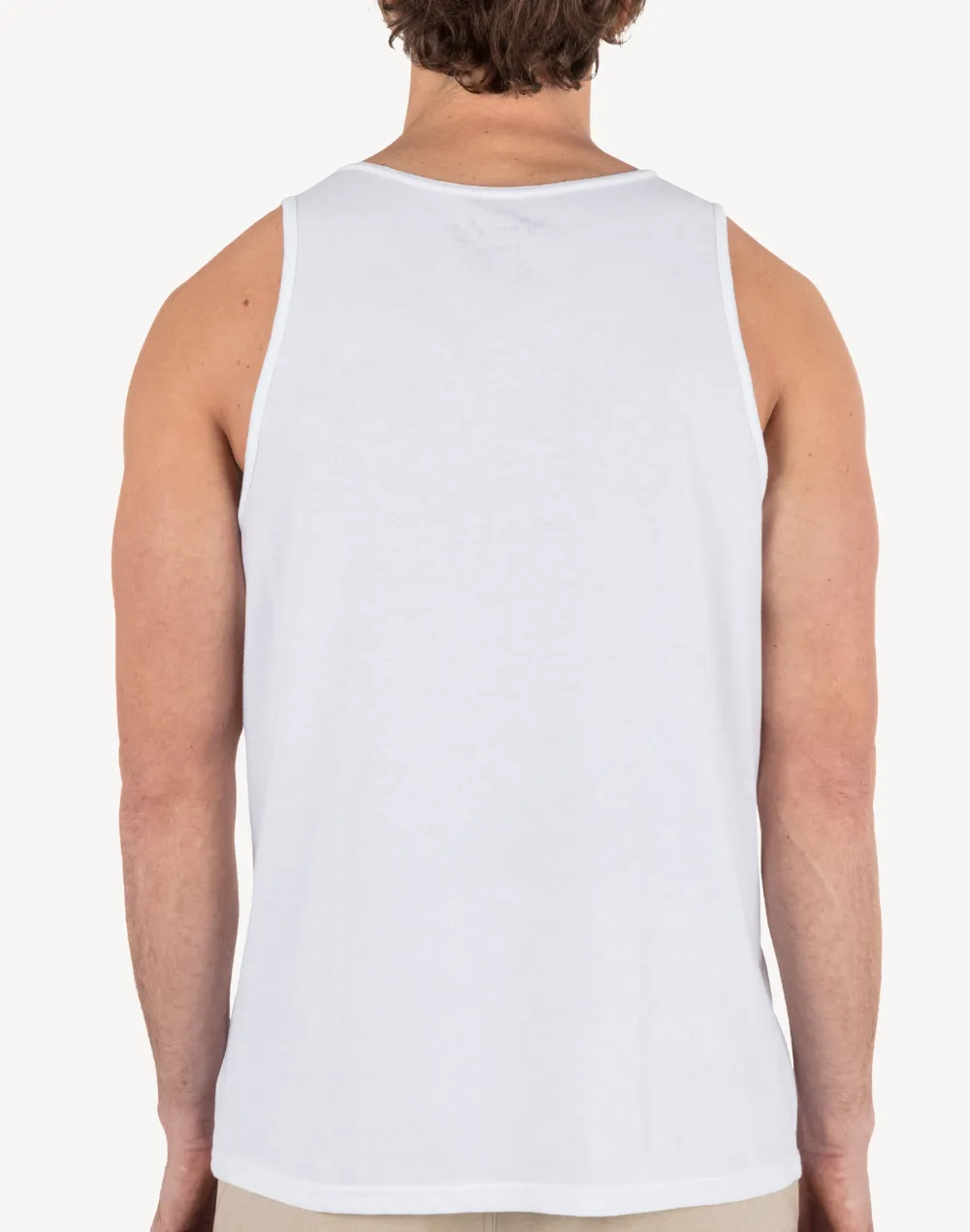 Linier Palm Tank sold by swimco product image thumbnail 2