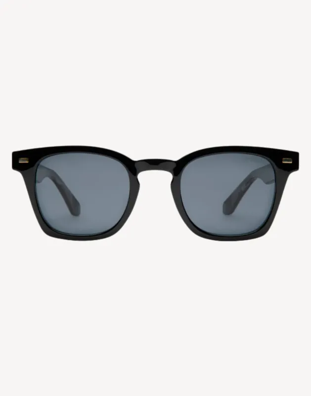 Palmer Polarized Sunglasses made by I-Sea