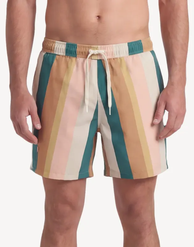 Stripe 17" Swim Trunk made by TEAMLTD