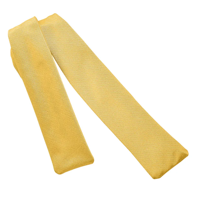 P10040A  Tie Yourself Bowtie - Cigar sold by DION 1967