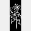Nina - Silk Scarf Shawl - Black sold by Elizabetta