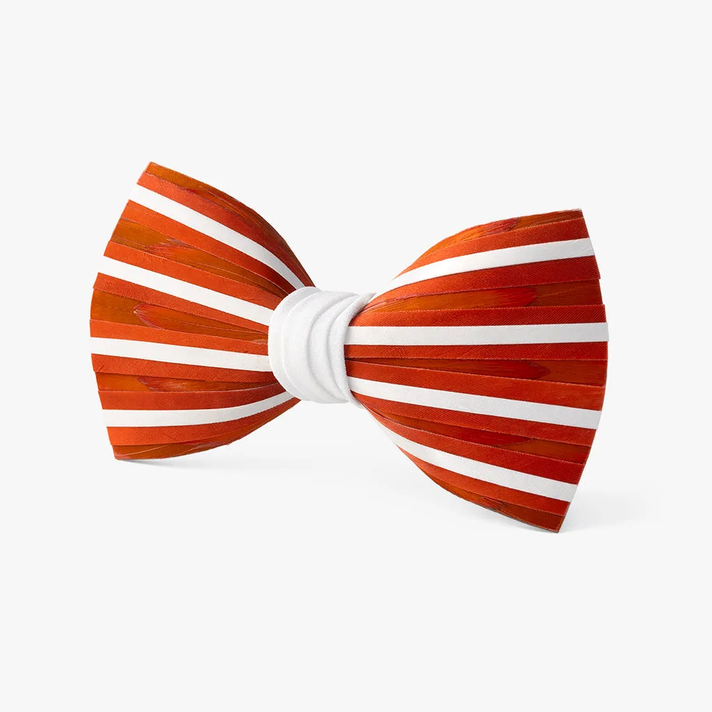 Austin Bow Tie sold by Brackish product image thumbnail 3