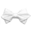 White Clara Paisley Diamond Tip Bow Tie sold by TieMart