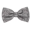 Gray and Silver Etna Paisley Bow Tie sold by TieMart