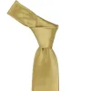 Light Gold Premium Extra Long Solid Color Necktie sold by TieMart