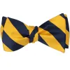 Navy Blue and Golden Yellow Striped Self-Tie Bow Tie sold by TieMart