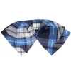 Blue Plaid Floppy Bow Tie sold by TieMart