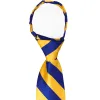 Royal Blue and Golden Yellow Striped Zipper Tie sold by TieMart